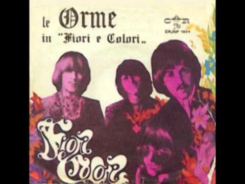 Immagine del video Fiori e colori