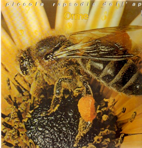 Copertina di Piccola rapsodia dell’ape